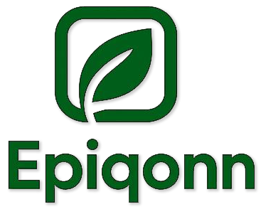 Epiqonn Logo